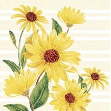 Servietten Airlaid Marlene