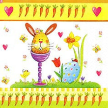 380096 Ti Flair Serviette