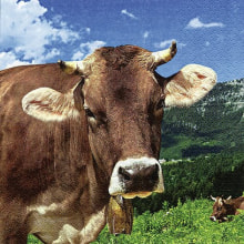 373650 Ti Flair Serviette