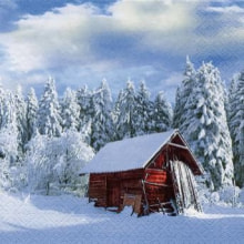 310522 Ti Flair Serviette