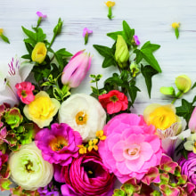 340335 Ti Flair Serviette