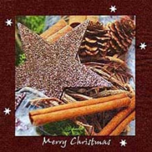 313455 Ti Flair Serviette