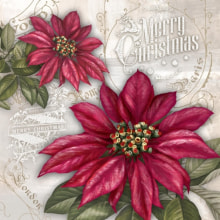 313110 Ti Flair Serviette