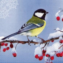 303669 Ti Flair Serviette