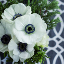 312097 Ti Flair Serviette