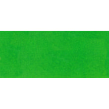 Seidenpapier 50x76 cm grün