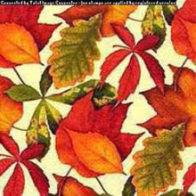 242052 Ti Flair Serviette