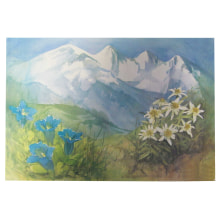 Set Papier Alpenblume