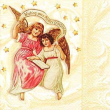 303649 Ti Flair Serviette