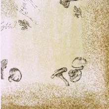 Servietten Airlaid Pilze 40x40 cm 1/4 Falz