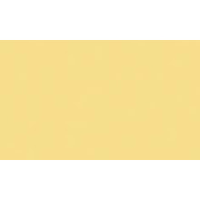 Set Airlaid champagner