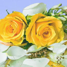 378429 Ti Flair Serviette