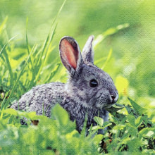 384009 Ti Flair Serviette