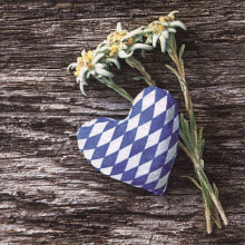 373643 Ti Flair Serviette