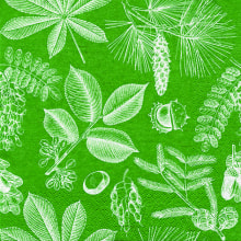 341722 Ti Flair Serviette