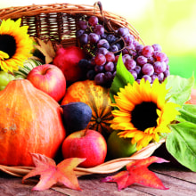 342033 Ti Flair Serviette