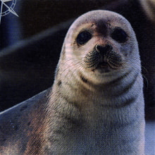 370564 Ti Flair Serviette