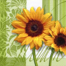 242031 Ti Flair Serviette