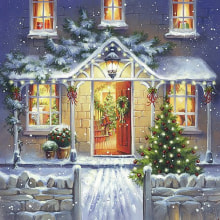 310667 Ti Flair Serviette