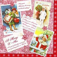 303645 Ti Flair Serviette