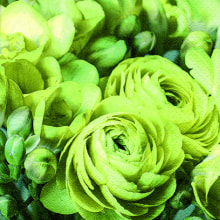 344246 Ti Flair Serviette