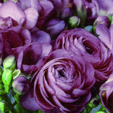 344248 Ti Flair Serviette