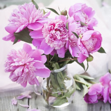 344256 Ti Flair Serviette