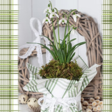 384018 Ti Flair Serviette