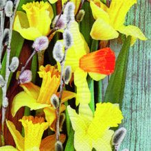 386005 Ti Flair Serviette