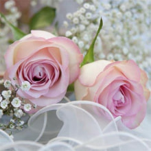 378451 Ti Flair Serviette