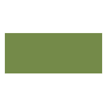 Seidenpapier 50x76 cm Olive