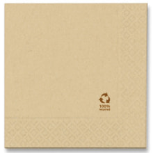 Servietten Papier Eco friendly 40 x40 cm