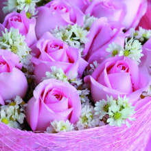 344045 Ti Flair Serviette