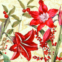 312301 Ti Flair Serviette