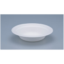 4142.2002 Bagasse-Schale weiss