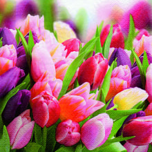 289143 Ti Flair Serviette