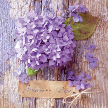 340203 Ti Flair Serviette