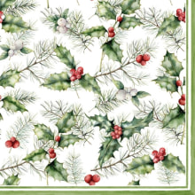 303507 Ti Flair Serviette